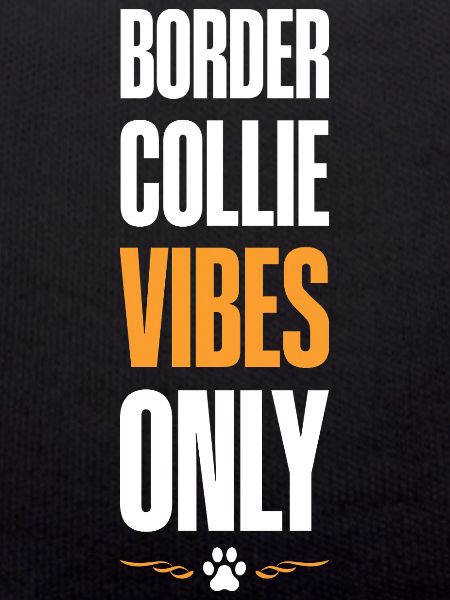 Border Collie Vibes Only