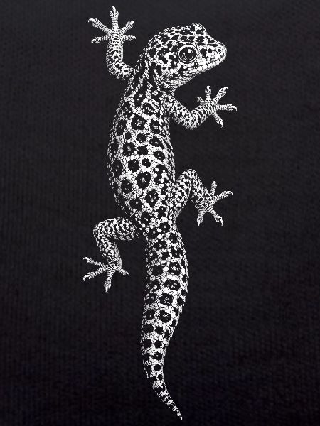 Leopardgecko