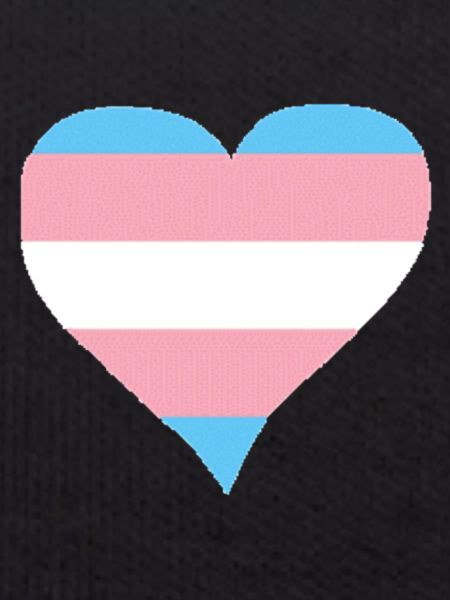 Trans Heart