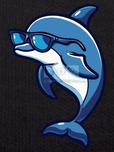 Dolphin Cool Animal