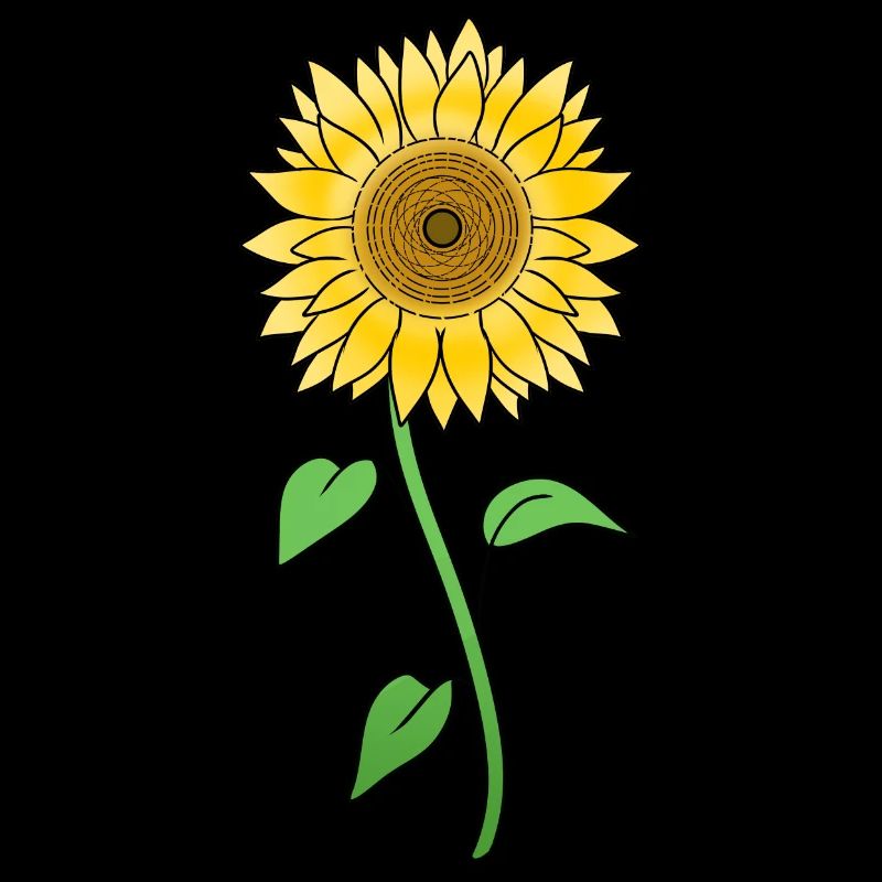 Sonnenblume