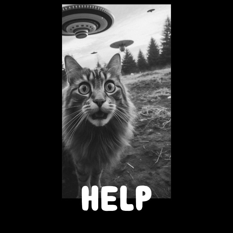 Funny Cat Selfie Meme Alien UFO