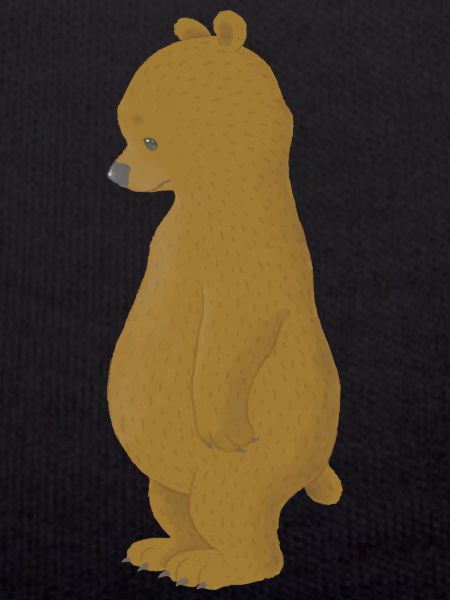 sad bear