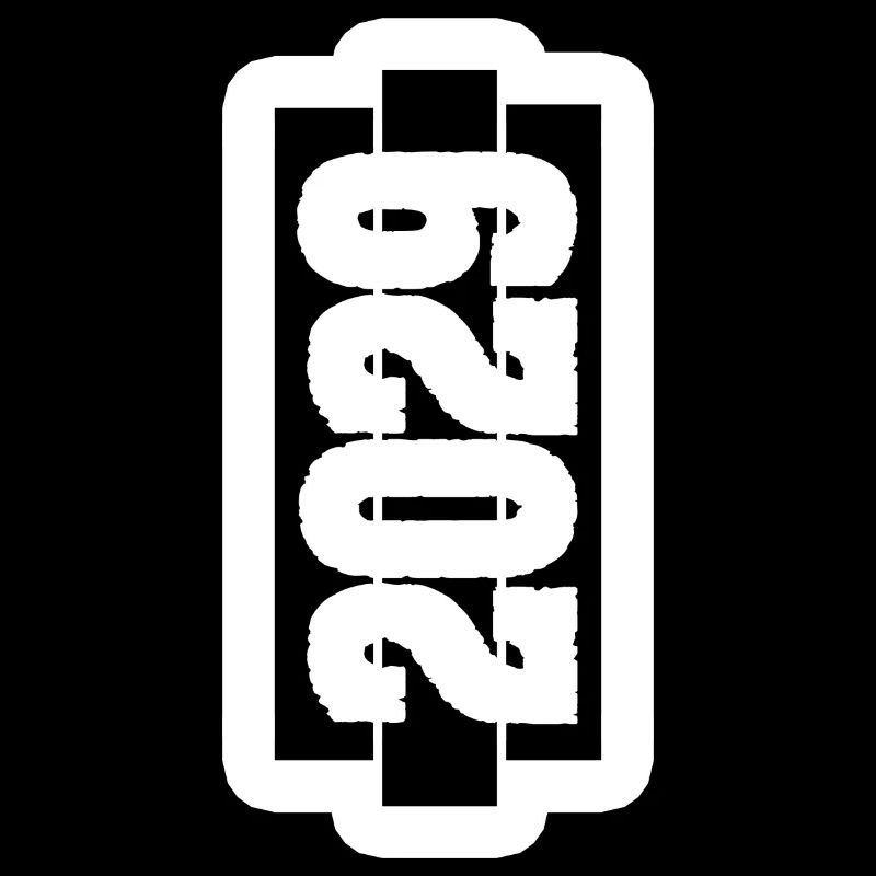 Year 2029