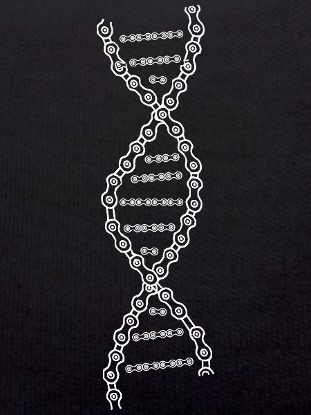 Cycling DNA