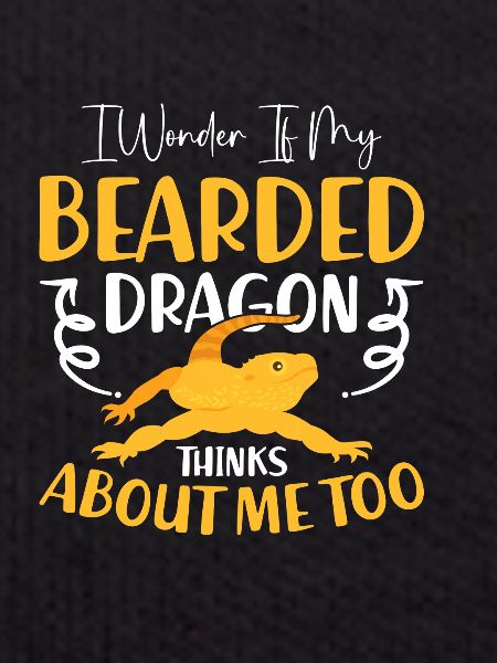 Dragon barbu