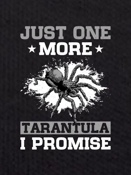 Spider Lovers Tarantula Owners