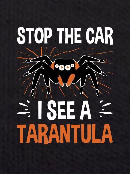 Spider Lovers Tarantula Owners