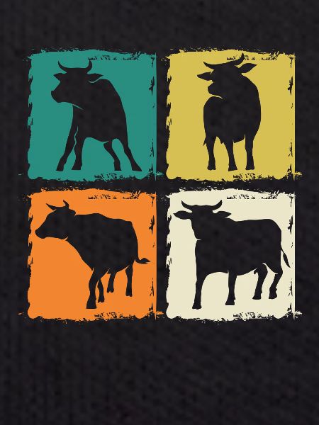 Buffalo Cattle Oxen