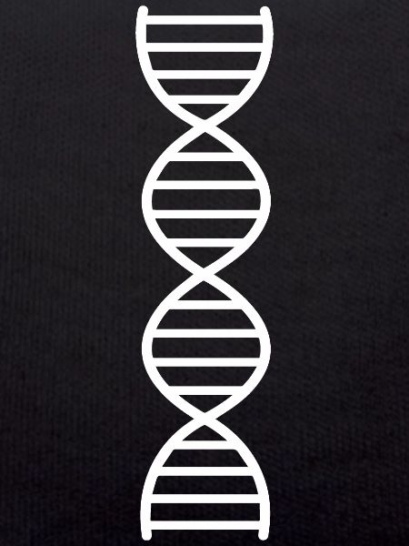 DNA Double Strand