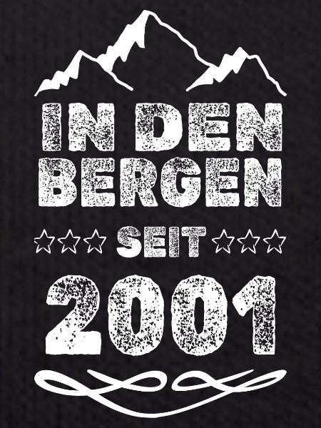 Bergsteiger 2001