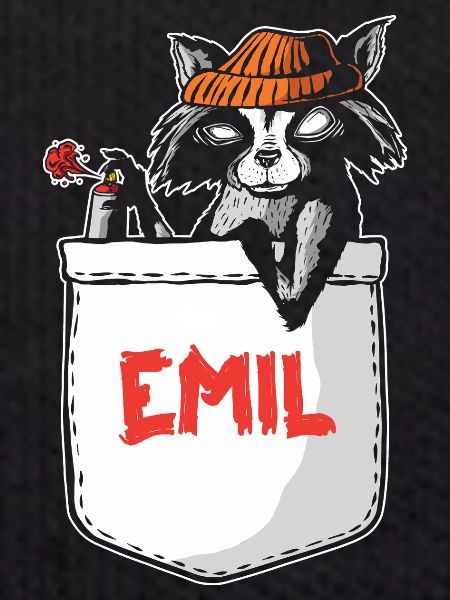 Raccoon Emil