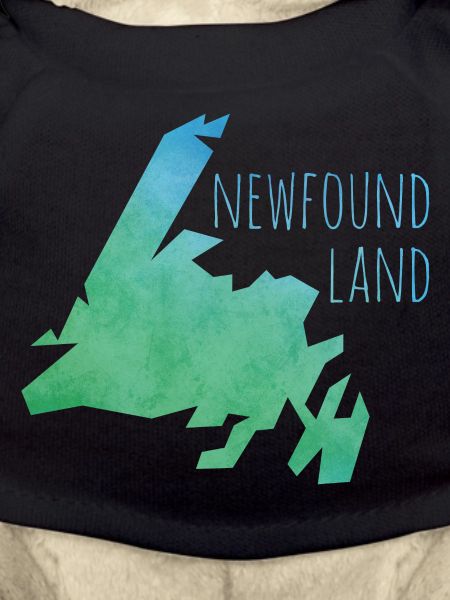 newfoundland