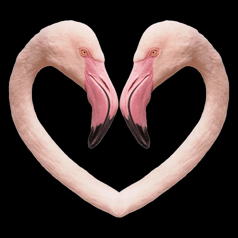 Flamingo-Herz