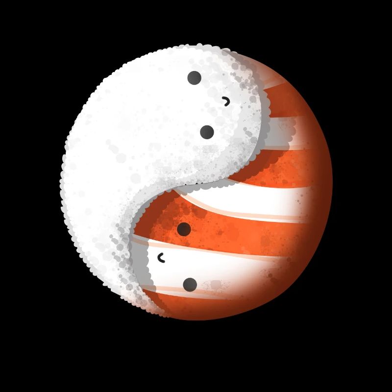 Sushi Tao Yin Yang