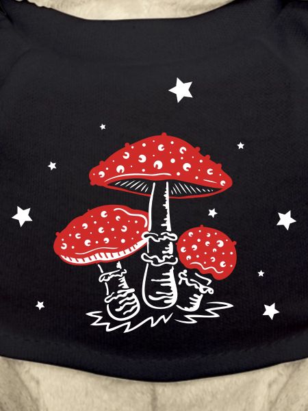 Mushroom mushrooms toadstools Amanita