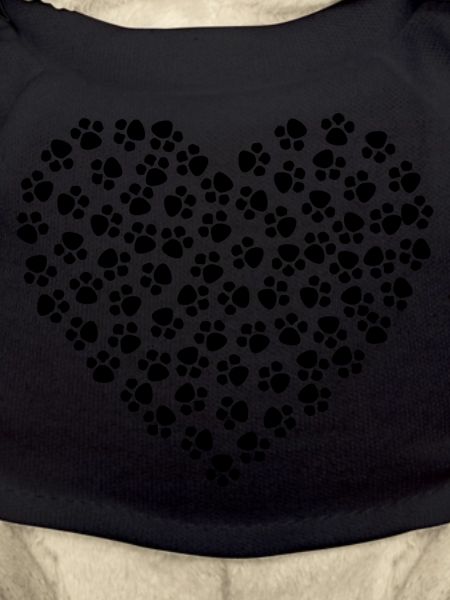 Heart of paws