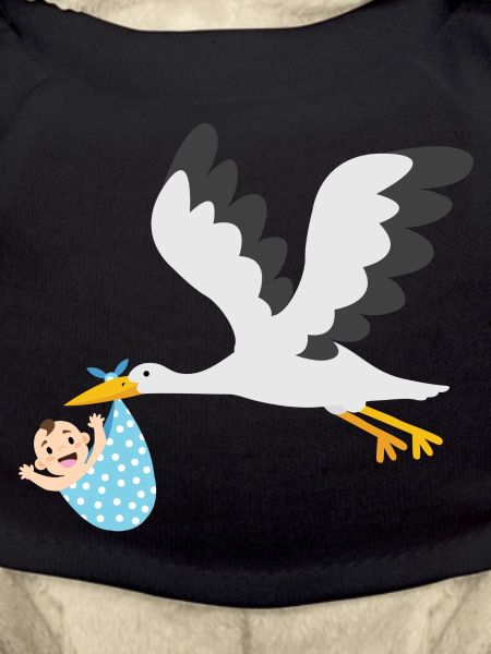 Cigogne avec bébé