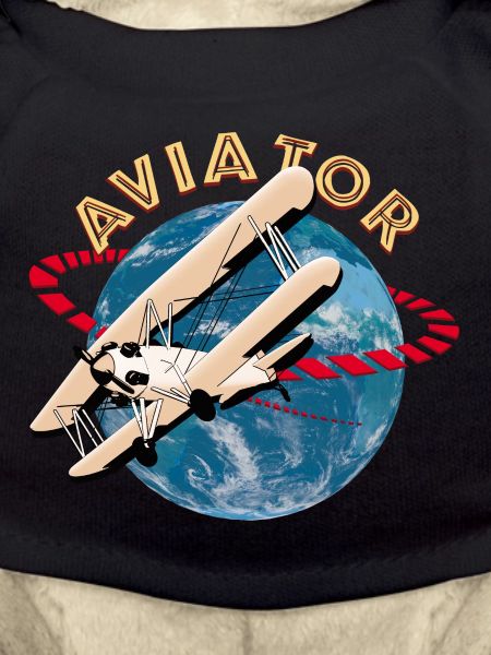 Aircraft Pilot - Aviator