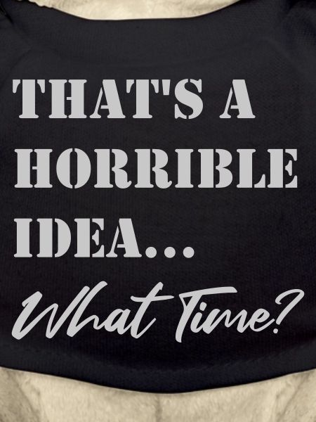 Funny saying Terrible idea