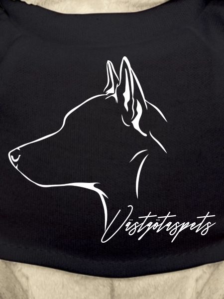 VÄSTGÖTASPETS Profil Chiens Wilsigns