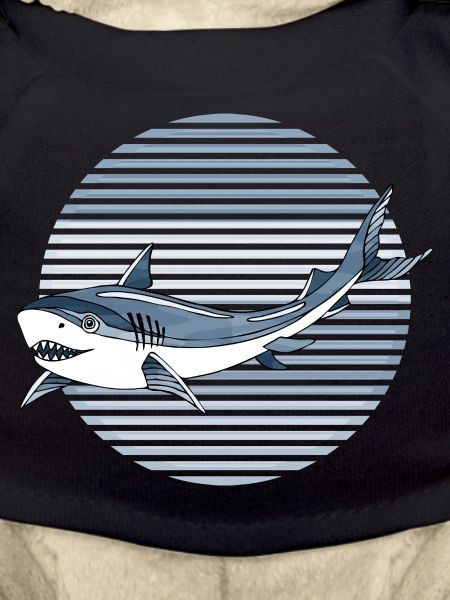 Requin
