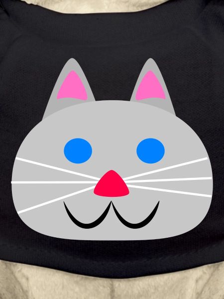 Visage de chat mignon