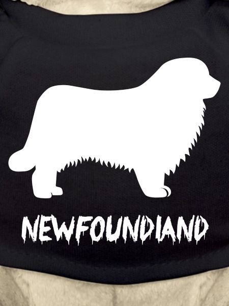 Hund Dog