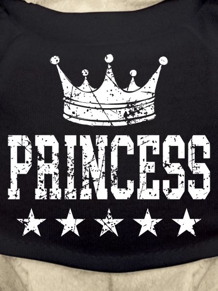 Princess Crown