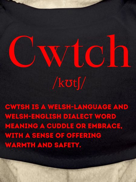 Cwtch Definition Welsh Wales