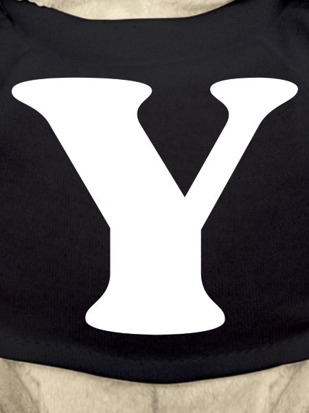 Letter y