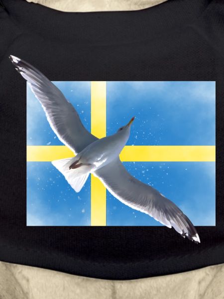 Sweden Sverige Seagull
