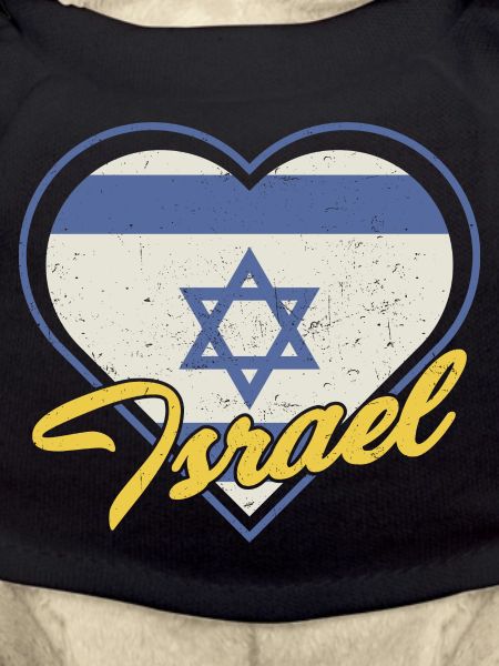 Jerusalem Davidstern Israel Flagge