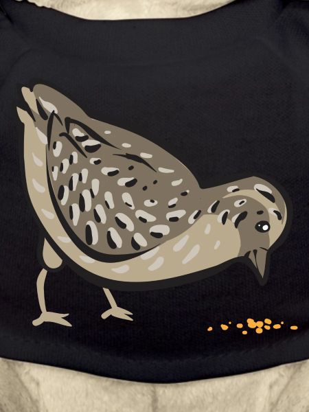 Oiseau de caille