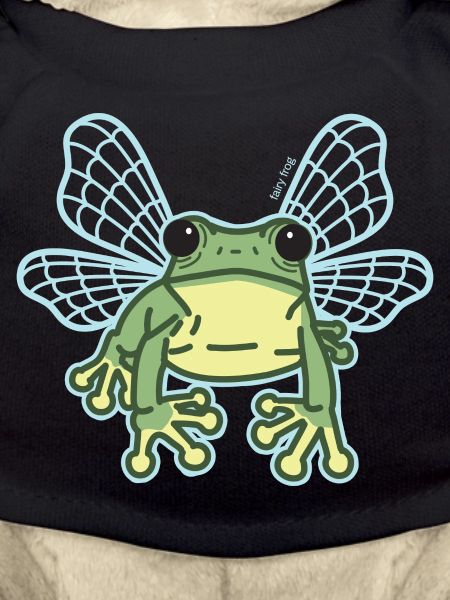 Fairy frog