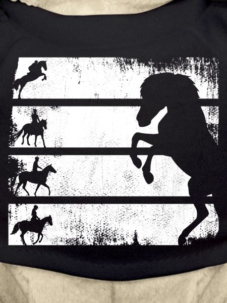 Équitation