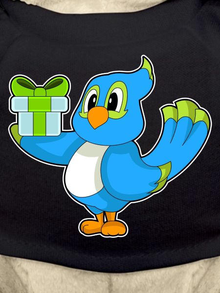 Parrot Birthday Package