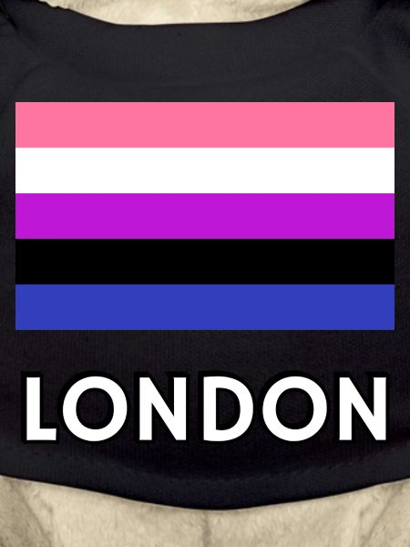 Genderfluid Pride Flag London