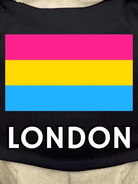Pan Pride Flag London