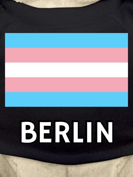 Trans Pride Flag Berlin