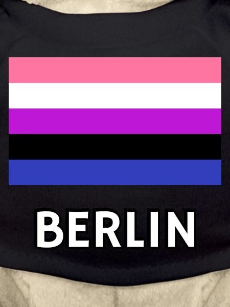 Genderfluid Pride Flag Berlin