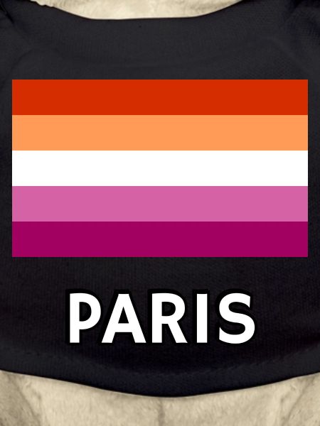 Lesbian Pride Flag Paris