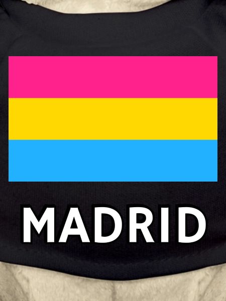 Pan Pride Flag Madrid