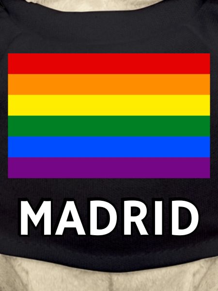 Pride Flag Madrid