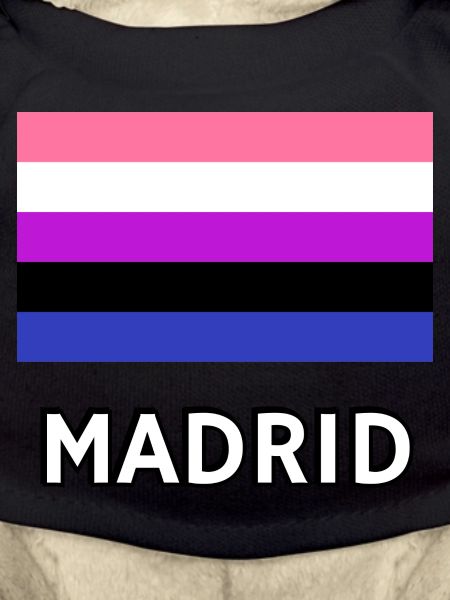 Genderfluid Pride Flag Madrid