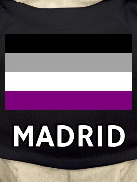 Asexuality Pride Flag Madrid