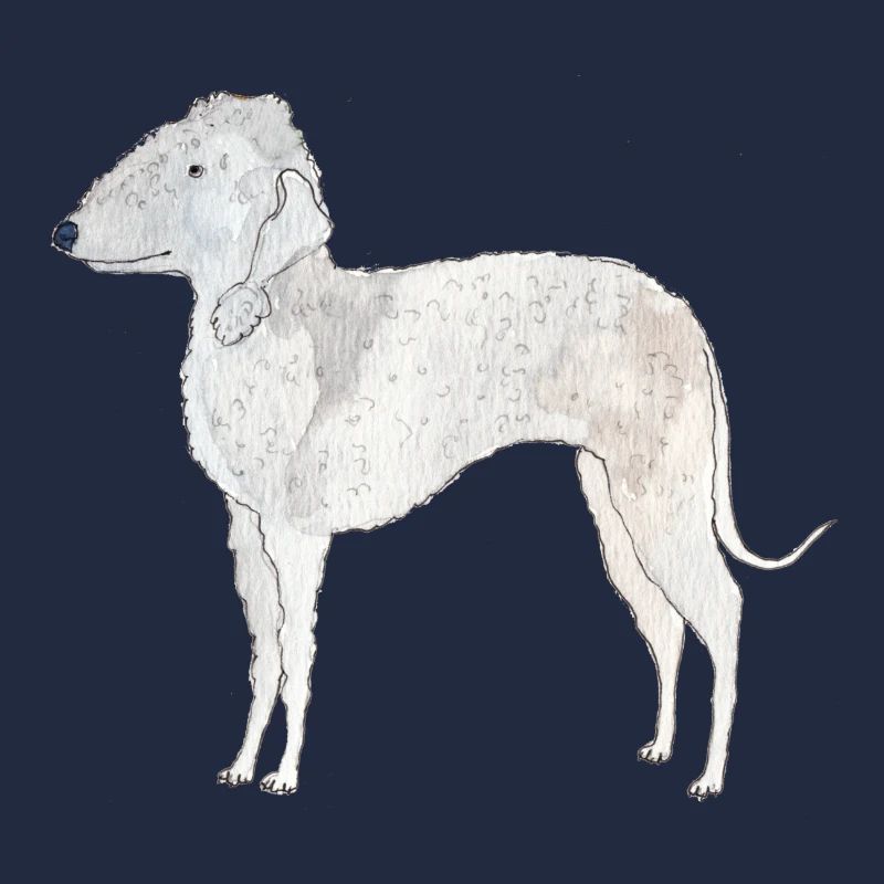 Bedlington Terrier