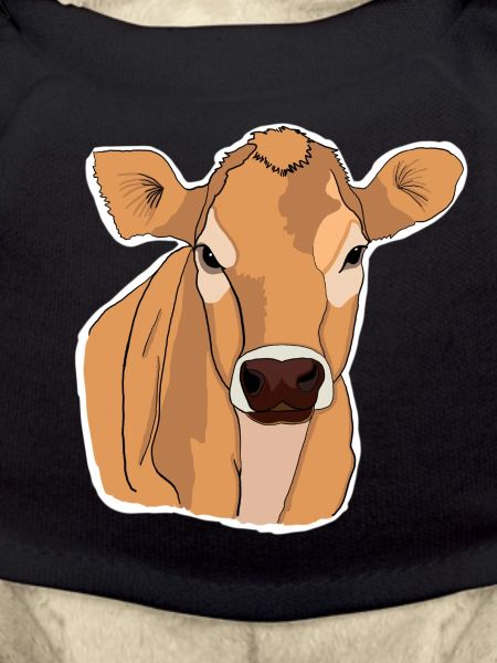 Cow Cows