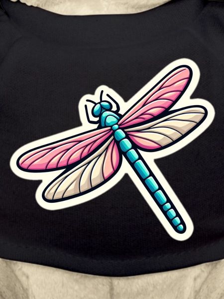 Dragonfly in pastel