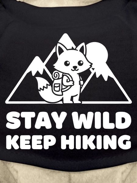 Wild Path: Foxes Adventure
